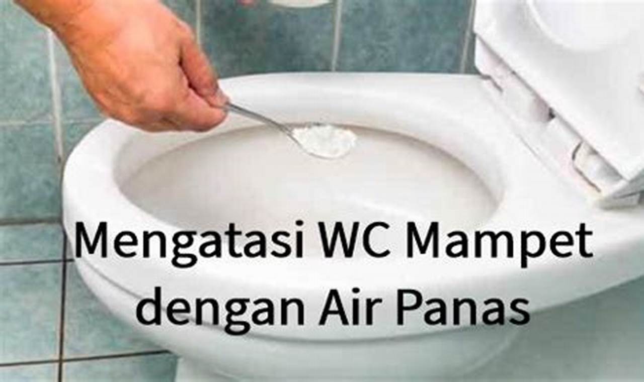 cara mengatasi wc mampet dengan cepat